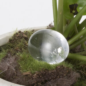 Crystals For Plants-Clear Quartz
