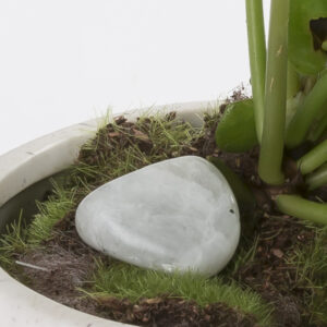 Crystals For Plants-Moonstone