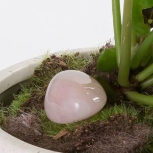 Crystals For Plants-Rose Quartz
